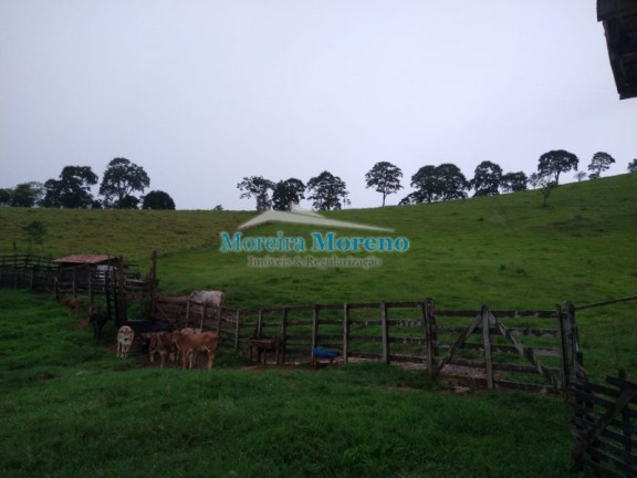 Imagem Imóvel com 1 Quarto à Venda, 11 m² em Zona Rural - Borda Da Mata