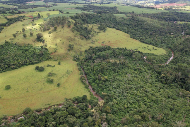 Imagem Chácara à Venda, 17 m² em Zona Rural - Cajuru