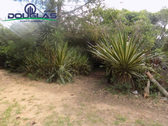 Imagem Imóvel Comercial à Venda, em Viamão Imagem Imóvel Comercial à Venda, em Viamão