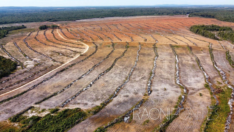 Imagem Fazenda à Venda, 484 m² em Zona Rural - São Valério Da Natividade Imagem Fazenda à Venda, 484 m² em Zona Rural - São Valério Da Natividade