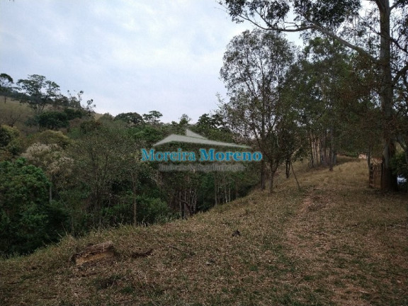Imagem Imóvel à Venda, 5 m² em Zona Rural - Borda Da Mata Imagem Imóvel à Venda, 5 m² em Zona Rural - Borda Da Mata