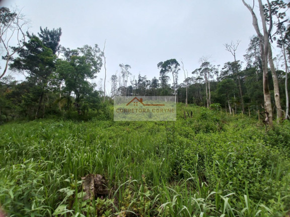 Imagem Terreno à Venda, 1.200 m² em Centro - Juquitiba Imagem Terreno à Venda, 1.200 m² em Centro - Juquitiba