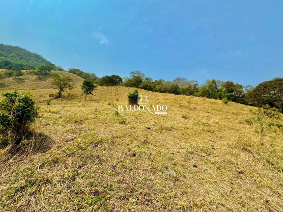 Imagem Imóvel à Venda, 32.000 m² em Centro - Extrema Imagem Imóvel à Venda, 32.000 m² em Centro - Extrema