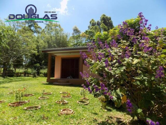 Imagem Chácara com 2 Quartos à Venda, 5.000 m² em Viamão Imagem Chácara com 2 Quartos à Venda, 5.000 m² em Viamão