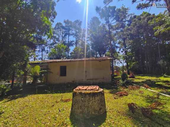 Imagem Chácara à Venda, 6.000 m² em Loteamento Chácara Chantecler - Piraquara Imagem Chácara à Venda, 6.000 m² em Loteamento Chácara Chantecler - Piraquara