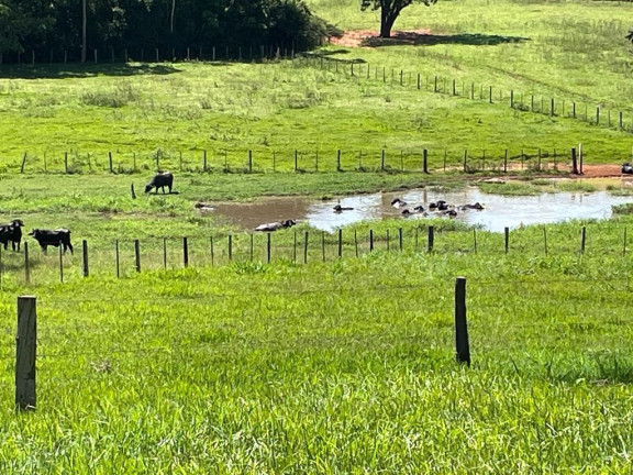 Imagem Imóvel à Venda, 25 m² em área Rural De São José Do Rio Preto - São José Do Rio Preto Imagem Imóvel à Venda, 25 m² em área Rural De São José Do Rio Preto - São José Do Rio Preto