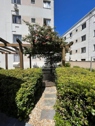 Imagem Apartamento com 2 Quartos à Venda, 50 m² em Roçado - São José