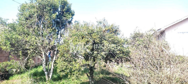Imagem Terreno à Venda, em Vila Santa Maria - Piraquara Imagem Terreno à Venda, em Vila Santa Maria - Piraquara