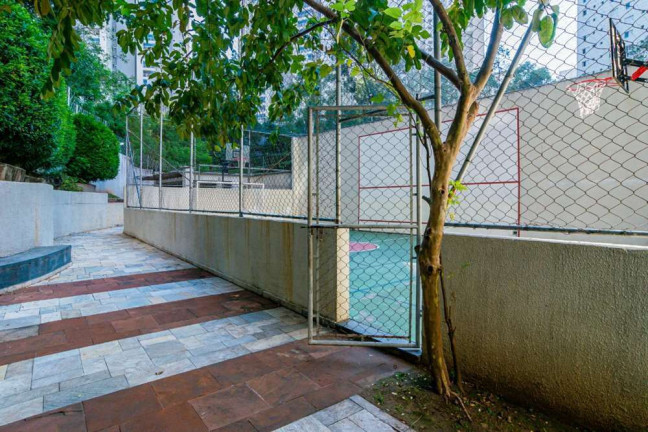 Imagem Apartamento com 3 Quartos à Venda, 61 m² em Vila Andrade - São Paulo