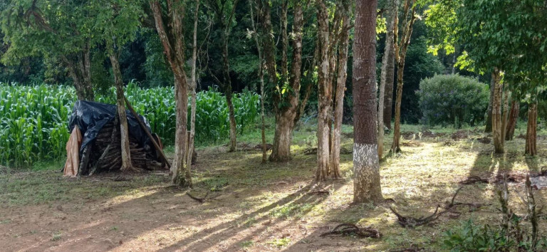 Imagem Chácara com 2 Quartos à Venda, 5.445 m² em Centro - Agudos Do Sul