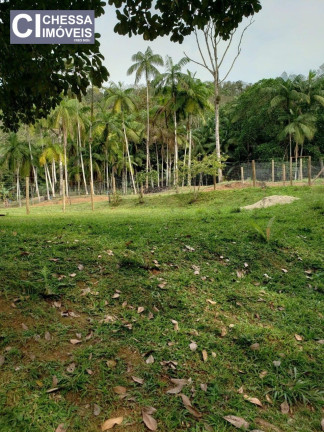 Imagem Chácara com 2 Quartos à Venda, 21.000 m² em Vila Do Salto - Luiz Alves