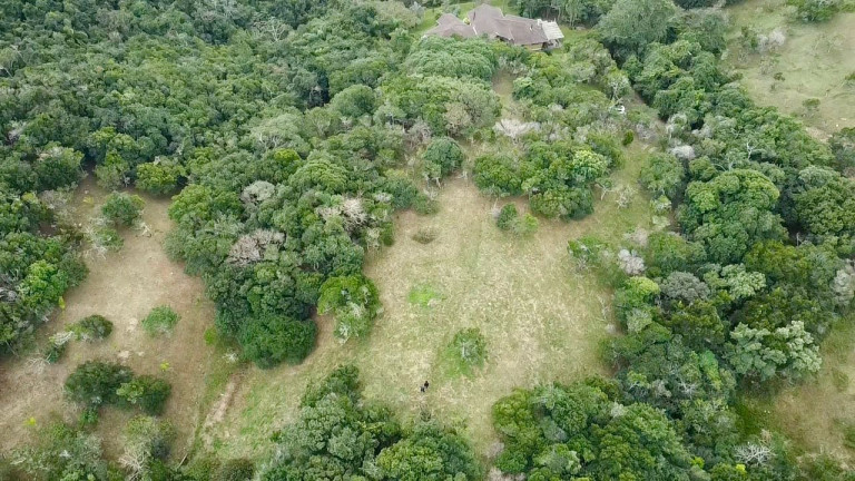 Imagem Terreno à Venda, 4.908 m² em Praia Da Silveira - Garopaba