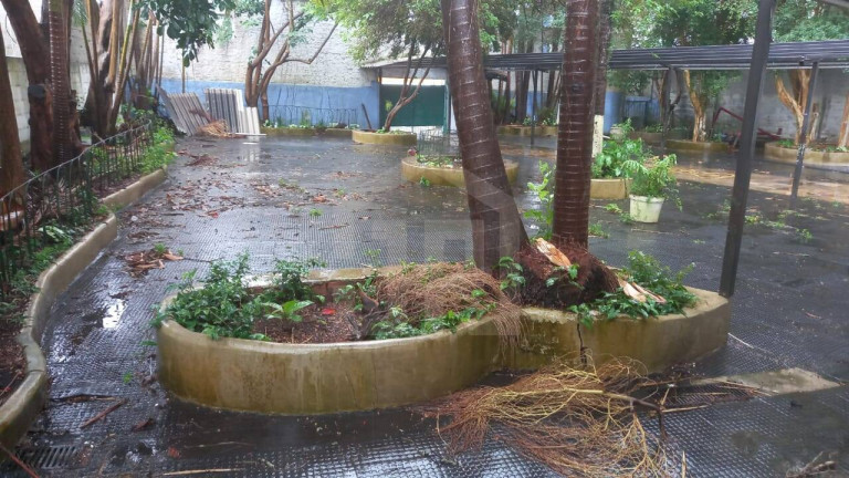 Imagem Terreno à Venda, 1 m² em Vila Parque Jabaquara - São Paulo Imagem Terreno à Venda, 1 m² em Vila Parque Jabaquara - São Paulo