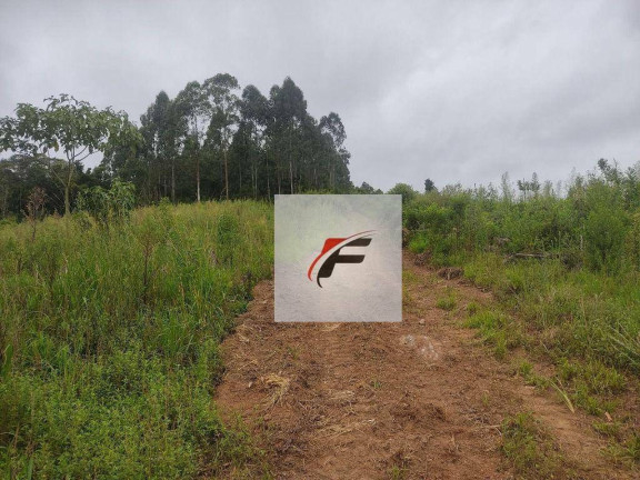 Imagem Chácara com 1 Quarto à Venda, 25.244 m² em Bacaetava - Colombo