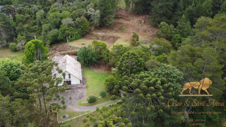 Terreno à Venda, 6.500 m² em Alto Da Vila Inglesa - Campos Do Jordão