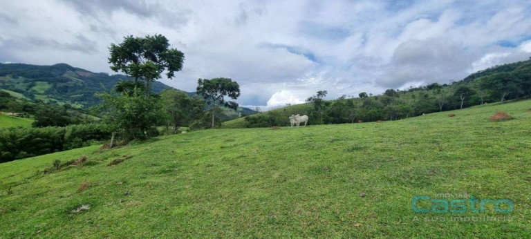 Imagem Imóvel à Venda, 82 m² em Cochos - Gonçalves Imagem Imóvel à Venda, 82 m² em Cochos - Gonçalves
