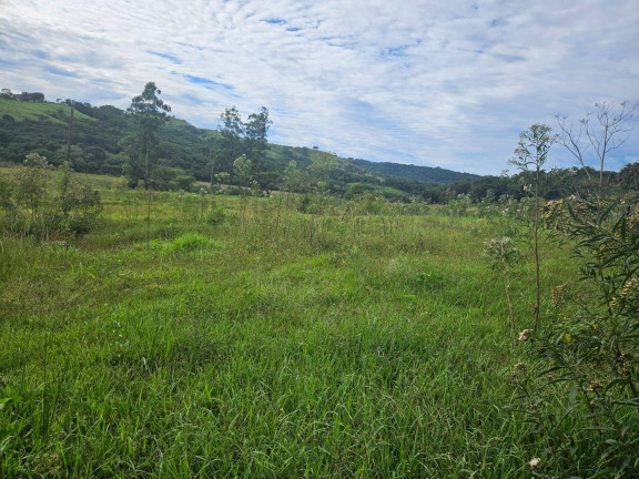 Imagem Chácara à Venda, 2 m² em Arapongas Imagem Chácara à Venda, 2 m² em Arapongas