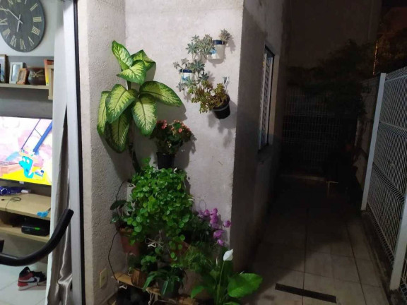 Imagem Apartamento com 2 Quartos à Venda, 60 m² em Jardim Maria Eugênia - Sorocaba Imagem Apartamento com 2 Quartos à Venda, 60 m² em Jardim Maria Eugênia - Sorocaba