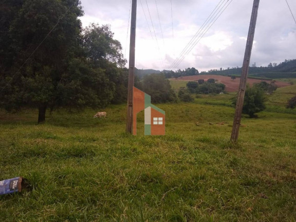Imagem Terreno à Venda, 56.000 m² em Taboão - Bragança Paulista