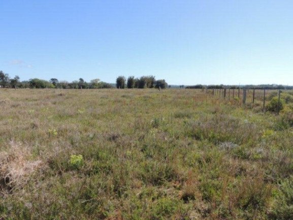 Imagem Terreno à Venda, 1.000 m² em Morro Grande - Viamão