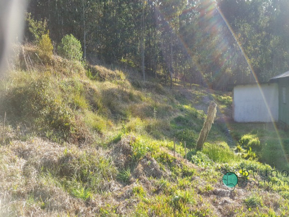 Imagem Imóvel com 2 Quartos à Venda, 50.000 m² em Zona Rural - Alfredo Wagner