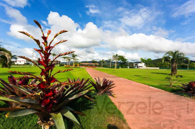 Imagem Terreno à Venda, 566 m² em Centro - Camboriú