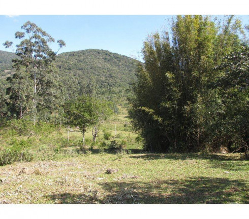 Imagem Fazenda à Venda, 80 m² em São João Do Rio Vermelho - Florianópolis Imagem Fazenda à Venda, 80 m² em São João Do Rio Vermelho - Florianópolis