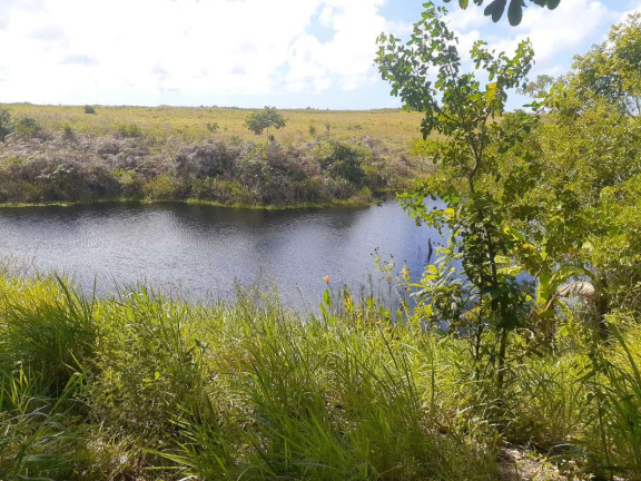 Imóvel com 1 Quarto à Venda, 774.400 m² em Mogiquiçaba - Belmonte