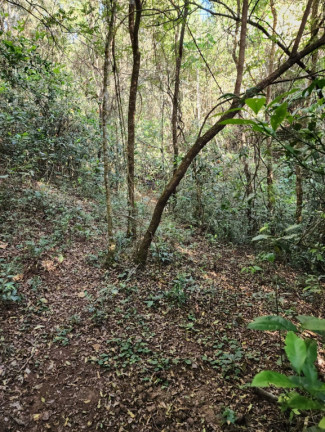 Imagem Imóvel à Venda,  em Centro - Pouso Alegre