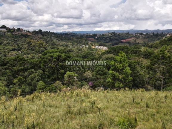 Terreno à Venda, 2.080 m² em Região Do Vale Encantado - Campos Do Jordão