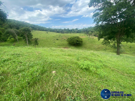Imagem Chácara à Venda, 6 m² em Zona Rural - Taquaral De Goiás Imagem Chácara à Venda, 6 m² em Zona Rural - Taquaral De Goiás