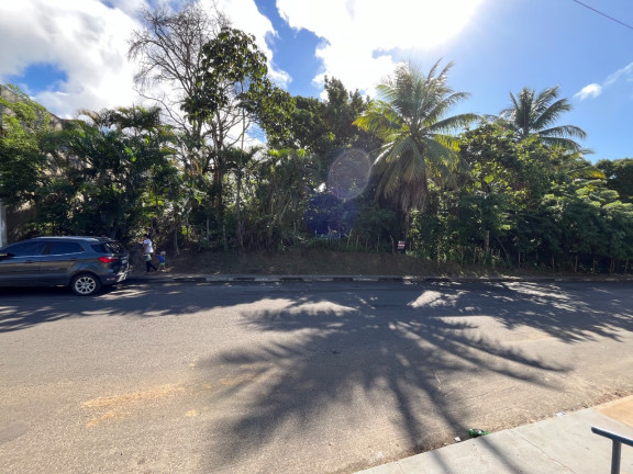Terreno à Venda, 250 m² em Malhada - Mata De São João