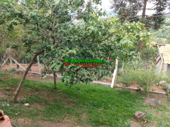 Imagem Chácara com 2 Quartos à Venda, 2.700 m² em Canaã - Jambeiro Imagem Chácara com 2 Quartos à Venda, 2.700 m² em Canaã - Jambeiro