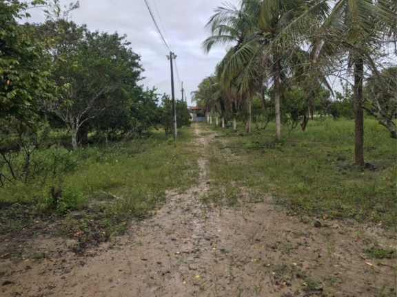 Imagem Fazenda à Venda, 29.077 m² em área Rural De Alagoinhas - Alagoinhas Imagem Fazenda à Venda, 29.077 m² em área Rural De Alagoinhas - Alagoinhas