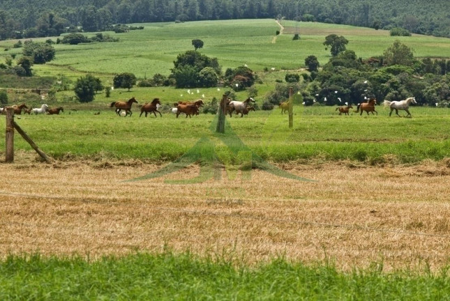 Imagem Fazenda à Venda, 4.840.000 m² em Cosmópolis Imagem Fazenda à Venda, 4.840.000 m² em Cosmópolis