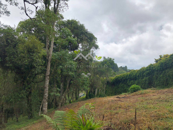 Imagem Terreno à Venda, 3 m² em Vila Inglesa - Campos Do Jordão Imagem Terreno à Venda, 3 m² em Vila Inglesa - Campos Do Jordão