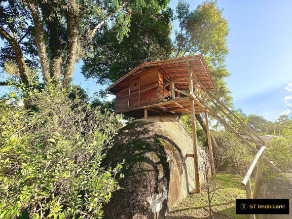 Imagem Chácara com 3 Quartos à Venda, 1.790 m² em Caceia - Mairiporã Imagem Chácara com 3 Quartos à Venda, 1.790 m² em Caceia - Mairiporã