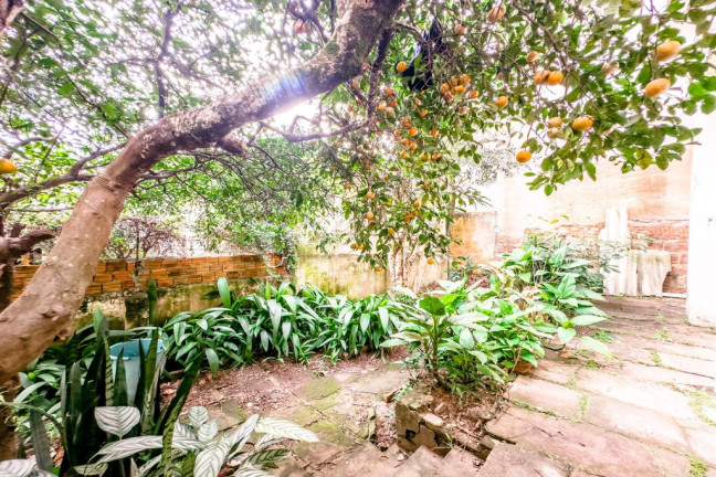 Imagem Casa com 3 Quartos à Venda, 240 m² em Petrópolis - Porto Alegre