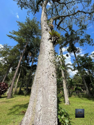 Imagem Imóvel com 3 Quartos à Venda, 2.000 m² em Dos Borges - Embuguaçu