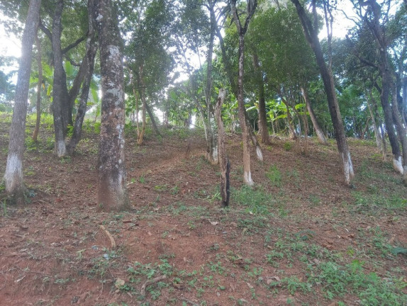 Imagem Imóvel com 2 Quartos à Venda, 9.000 m² em Condomínio Rural Clube Campestre De Caeté Juca Vieira - Caeté Imagem Imóvel com 2 Quartos à Venda, 9.000 m² em Condomínio Rural Clube Campestre De Caeté Juca Vieira - Caeté
