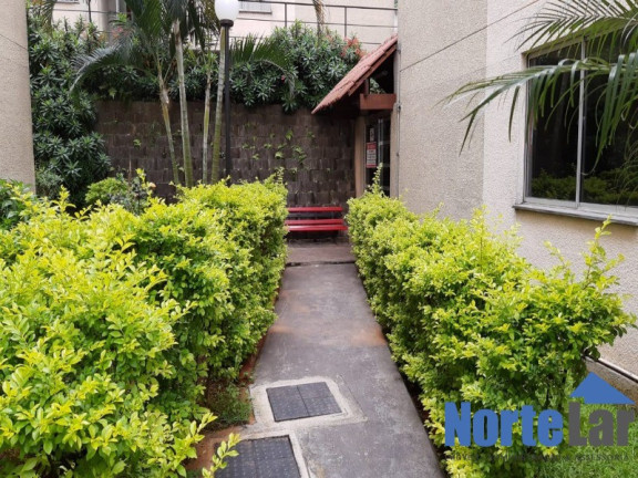 Imagem Apartamento com 2 Quartos à Venda, 49 m² em Vila Portugal - São Paulo