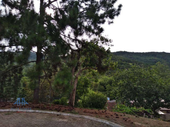 Imagem Terreno à Venda, 450 m² em Ratones - Florianópolis Imagem Terreno à Venda, 450 m² em Ratones - Florianópolis