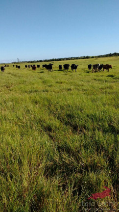 Imagem Fazenda à Venda, 600 m² em Caraíva - Porto Seguro Imagem Fazenda à Venda, 600 m² em Caraíva - Porto Seguro