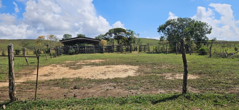 Imagem Imóvel à Venda, em Serra Da Canastra - Delfinópolis Imagem Imóvel à Venda, em Serra Da Canastra - Delfinópolis