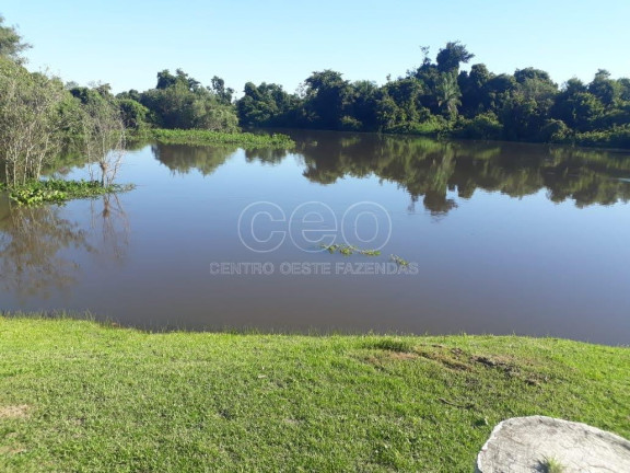 Fazenda à Venda,  em Zona Rural - Caceres