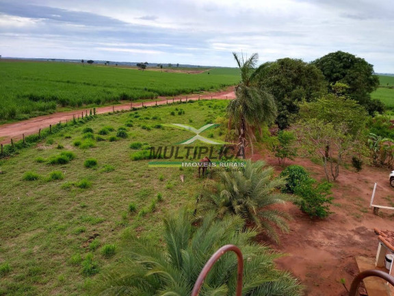 Imagem Fazenda à Venda, 217 m² em Suzanápolis Imagem Fazenda à Venda, 217 m² em Suzanápolis