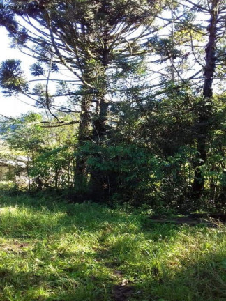 Imagem Terreno à Venda, em Linha Pirajá - Nova Petrópolis Imagem Terreno à Venda, em Linha Pirajá - Nova Petrópolis