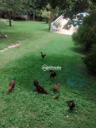 Imagem Chácara com 1 Quarto à Venda, 240 m² em Parque Rural Fazenda Santa Cândida - Campinas Imagem Chácara com 1 Quarto à Venda, 240 m² em Parque Rural Fazenda Santa Cândida - Campinas