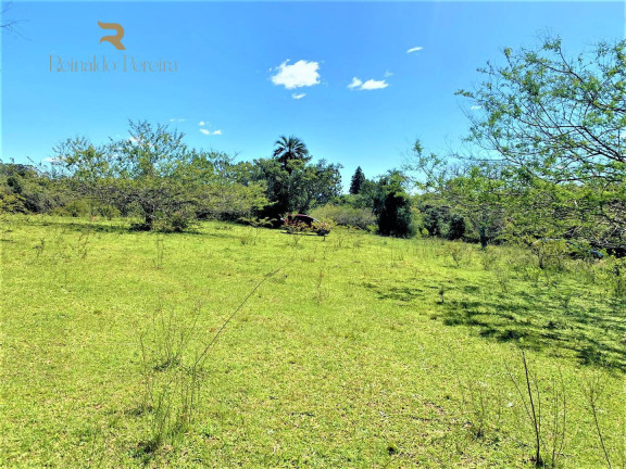 Imagem Chácara à Venda, 5.000 m² em Fiuza - Viamão Imagem Chácara à Venda, 5.000 m² em Fiuza - Viamão
