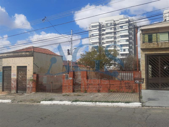 Terreno para Alugar, 500 m² em Tatuape - São Paulo